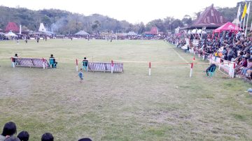 1.110 Pemain Ikut Turnamen Sepak Bola Turbo Cup III Ngada Flores