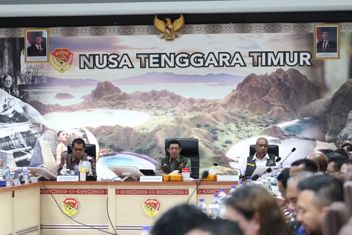 Gubernur NTT dan BNPB Koordinasi Lanjutan Penanganan Erupsi Lewotobi