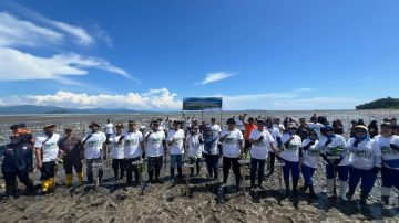 Polri untuk Masyarakat: polsek galang tanam mangrove peringati hari lingkungan hidup se-dunia