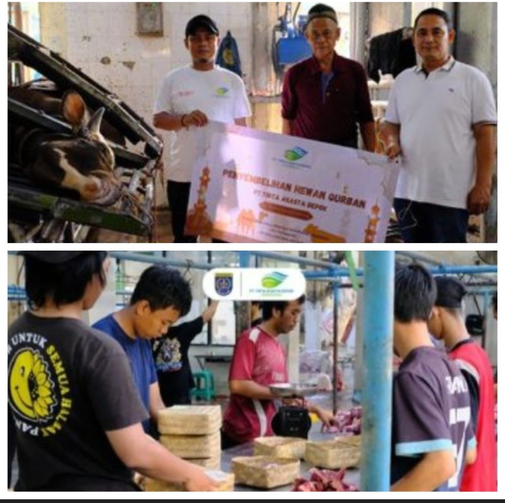 Moment Hari Raya Idul Adha 1446 H, PT Asasta Sembelih 42 Ekor Hewan Qurban
