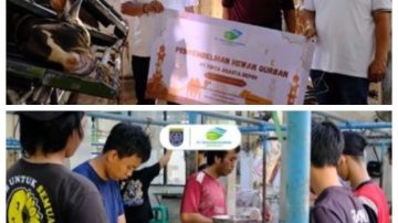 Moment Hari Raya Idul Adha 1446 H, PT Asasta Sembelih 42 Ekor Hewan Qurban