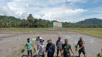 Gerakan Tanam Padi Musim April–September 2025 di Desa Betengon, Dondo: sinergi TNI, Pemda dan masyarakat