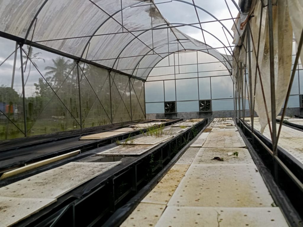 Diduga Mangkrak, Program Kementrian Pertanian Greenhouse Tidak Maksimal di Tompobulu Maros