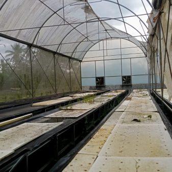 Diduga Mangkrak, Program Kementrian Pertanian Greenhouse Tidak Maksimal di Tompobulu Maros