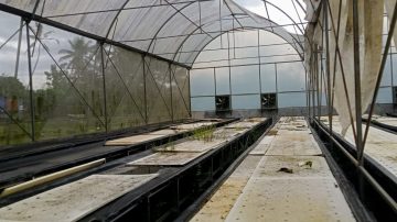 Diduga Mangkrak, Program Kementrian Pertanian Greenhouse Tidak Maksimal di Tompobulu Maros