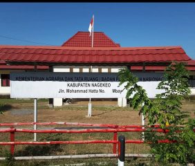 Kisruh Tanah Irigasi di Aeramo Diduga Kelalaian BPN Nagekeo NTT