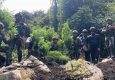 TNI Bongkar Ladang Ganja di Pegunungan Bintang Papua