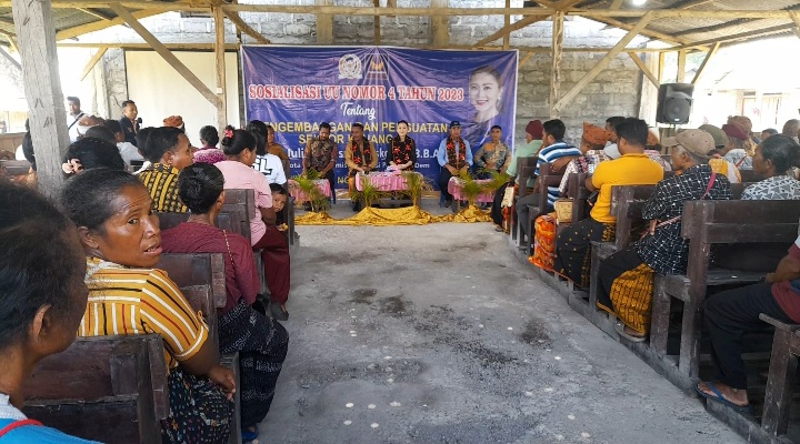 Julie Laiskodat Sosialisasi Empat Pilar Kebangsaan di Ngada