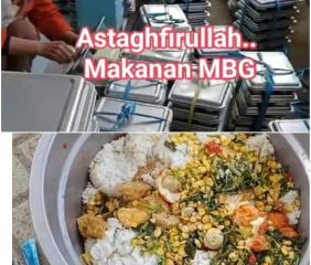 Ratusan Porsi MBG Terbuang Percuma Disalah Satu Sekolah di Maros