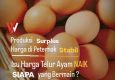 Isu Harga Telur Ayam Naik, Siapa yang Bermain