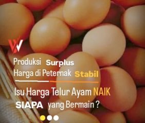 Isu Harga Telur Ayam Naik, Siapa yang Bermain
