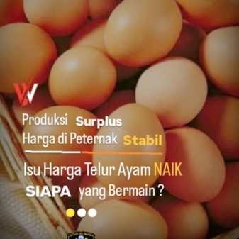Isu Harga Telur Ayam Naik, Siapa yang Bermain