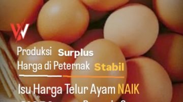 Isu Harga Telur Ayam Naik, Siapa yang Bermain