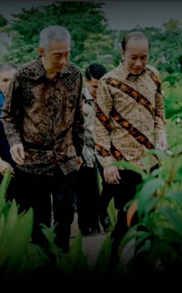 Diundang Forum Bloomberg New Economy Singapura, Jokowi Berbincang dengan Lee Hsien Loong