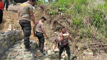 Aparat Gabungan Polres Tolitoli dan Brimob Percepat Pembangunan Jembatan Silondou