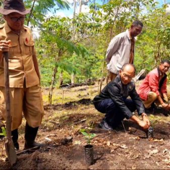 DPRD Ngada Bene Lagho Gandeng Multi Elemen Bangkitkan Budi Daya Kopi