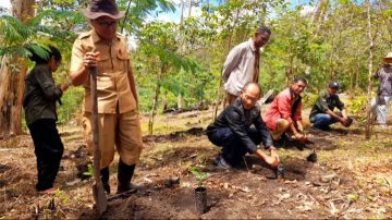 DPRD Ngada Bene Lagho Gandeng Multi Elemen Bangkitkan Budi Daya Kopi