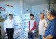 Indonesia Ekspor Urea ke Australia