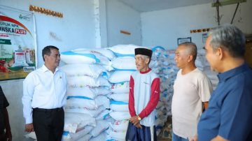 Indonesia Ekspor Urea ke Australia