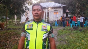 Babinsa TNI 1625 Penugasan Labolewa Nagekeo, Kopda Misraim Fay Imbau Warga Tertibkan  Ternak