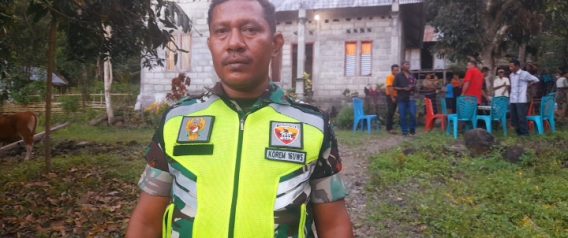 Babinsa TNI 1625 Penugasan Labolewa Nagekeo, Kopda Misraim Fay Imbau Warga Tertibkan  Ternak