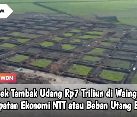 Proyek Tambak Udang Rp7 Triliun di Waingapu:  Lompatan Ekonomi NTT atau Beban Utang Baru?