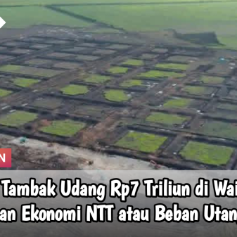 Proyek Tambak Udang Rp7 Triliun di Waingapu:  Lompatan Ekonomi NTT atau Beban Utang Baru?