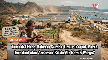 Tambak Udang Raksasa Sumba Timur: Karpet Merah Investasi atau Ancaman Krisis Air Bersih Warga?