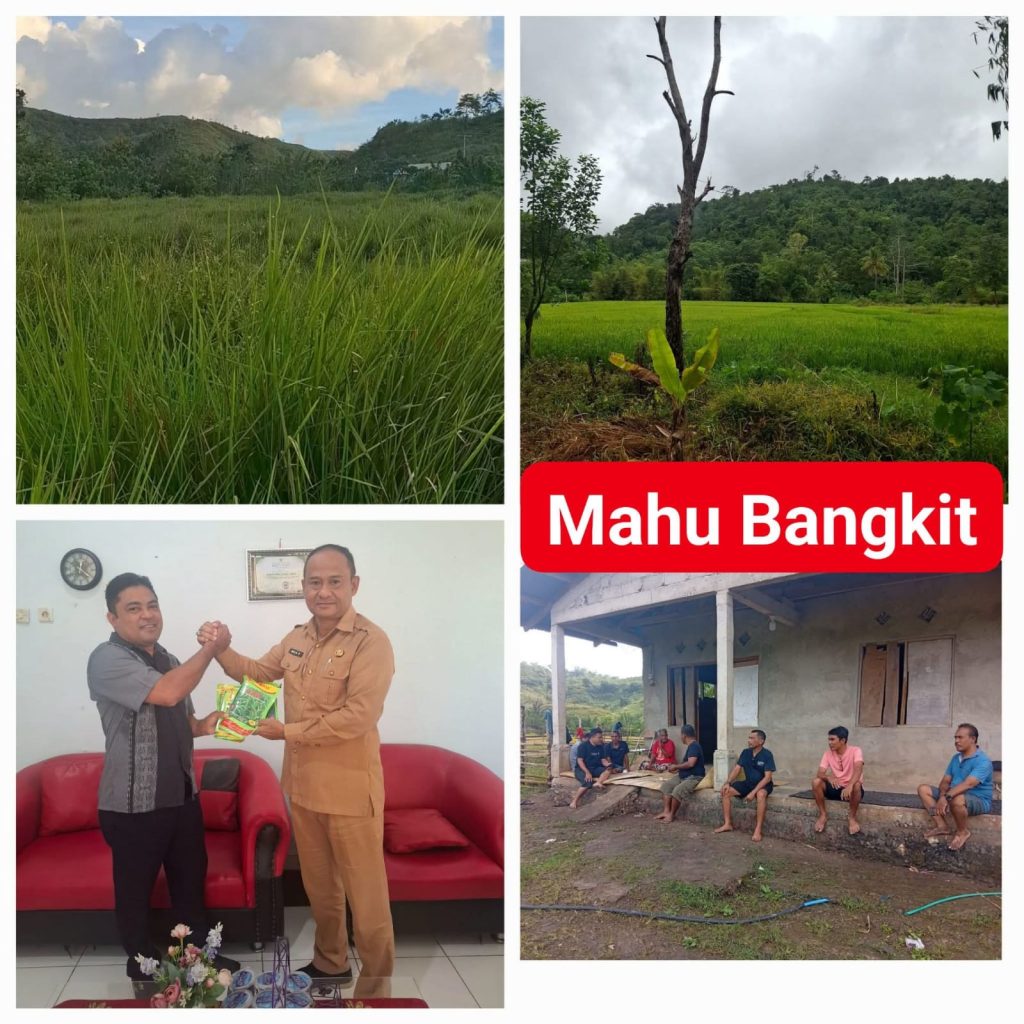 Mahu Disiapkan Jadi Sentra Hortikultura Baru di Sumba Timur