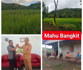 Mahu Disiapkan Jadi Sentra Hortikultura Baru di Sumba Timur