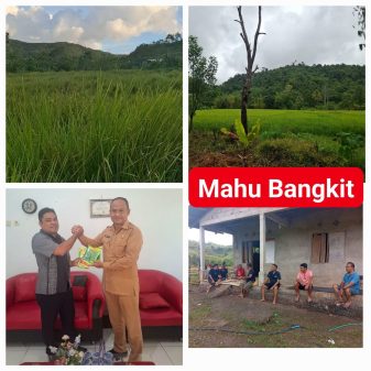 Mahu Disiapkan Jadi Sentra Hortikultura Baru di Sumba Timur