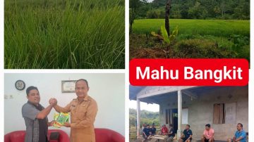 Mahu Disiapkan Jadi Sentra Hortikultura Baru di Sumba Timur