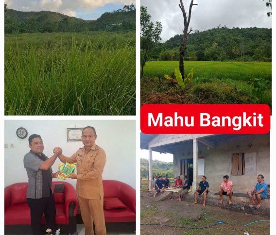 Mahu Disiapkan Jadi Sentra Hortikultura Baru di Sumba Timur