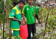 Dari Detukeli, SMKN 6 Ende Siap Pasok Kebutuhan Pangan Lokal dan MBG