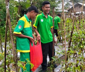 Dari Detukeli, SMKN 6 Ende Siap Pasok Kebutuhan Pangan Lokal dan MBG