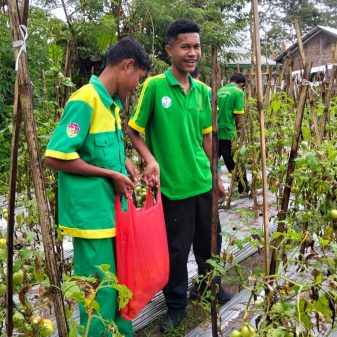 Dari Detukeli, SMKN 6 Ende Siap Pasok Kebutuhan Pangan Lokal dan MBG