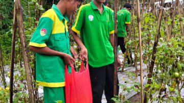 Dari Detukeli, SMKN 6 Ende Siap Pasok Kebutuhan Pangan Lokal dan MBG