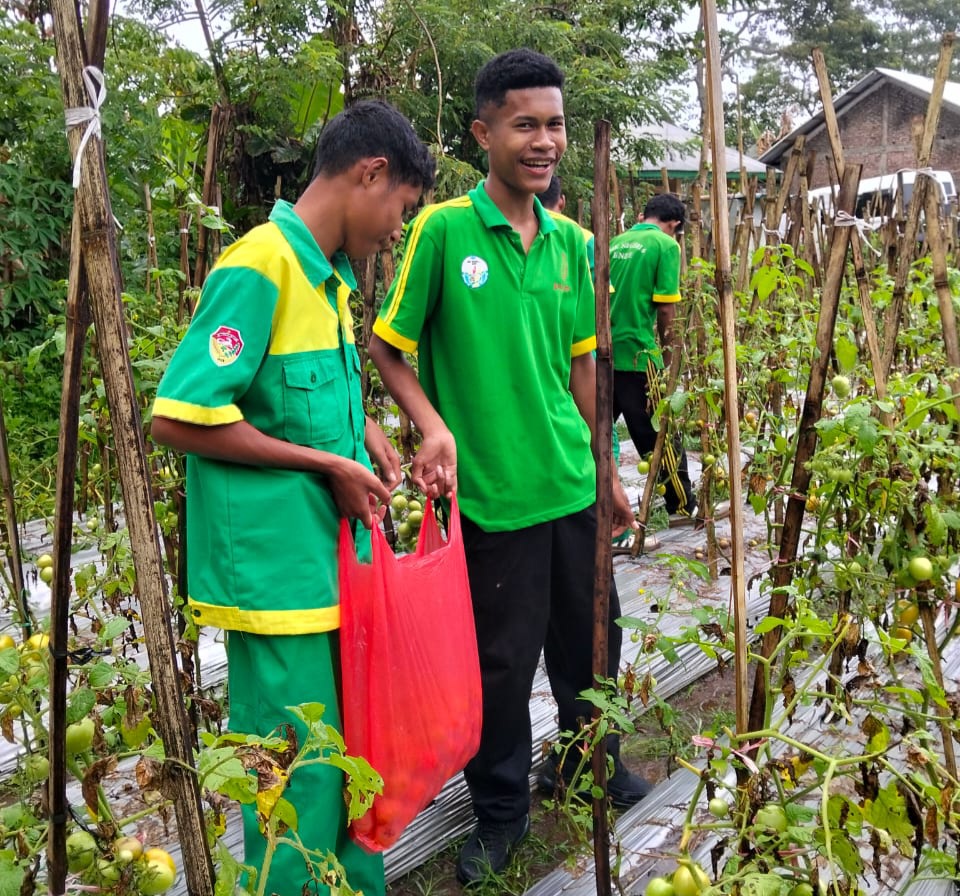 Dari Detukeli, SMKN 6 Ende Siap Pasok Kebutuhan Pangan Lokal dan MBG