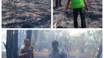 Aksi Cepat Warga dan Petugas Berhasil Jinakkan Kebakaran Lahan di Dusun Palisi Maros