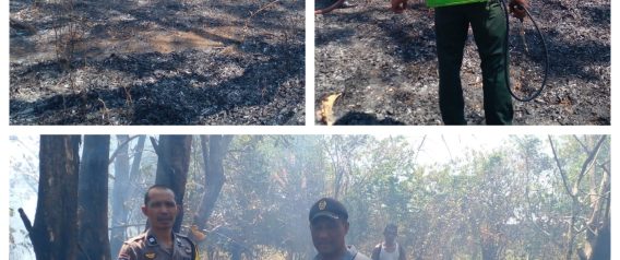 Aksi Cepat Warga dan Petugas Berhasil Jinakkan Kebakaran Lahan di Dusun Palisi Maros