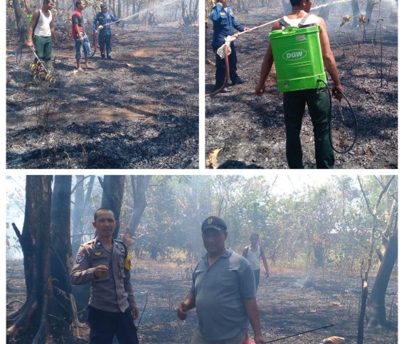 Aksi Cepat Warga dan Petugas Berhasil Jinakkan Kebakaran Lahan di Dusun Palisi Maros