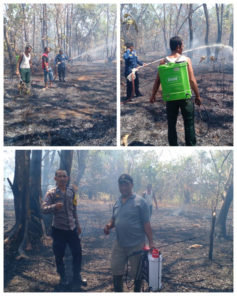 Aksi Cepat Warga dan Petugas Berhasil Jinakkan Kebakaran Lahan di Dusun Palisi Maros