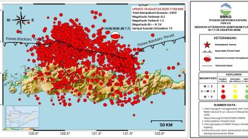 Flores : BMKG Rekam 2.403 Gempa Susulan hingga 18 Agustus 2026