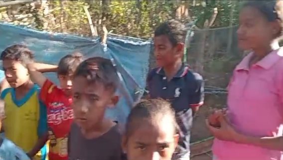 Krisis Parah Air Bersih Pasca Gempa, Warga Olaia Nagekeo Minta Bantuan Segera