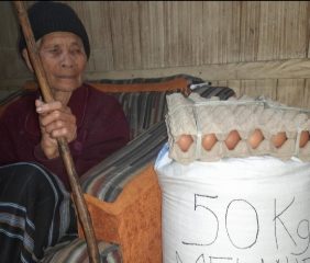 Gempa Flores, Peduli Kemanusiaan Melanie Subono Bantu Sembako Posko Mandiri Mataloko Ngada