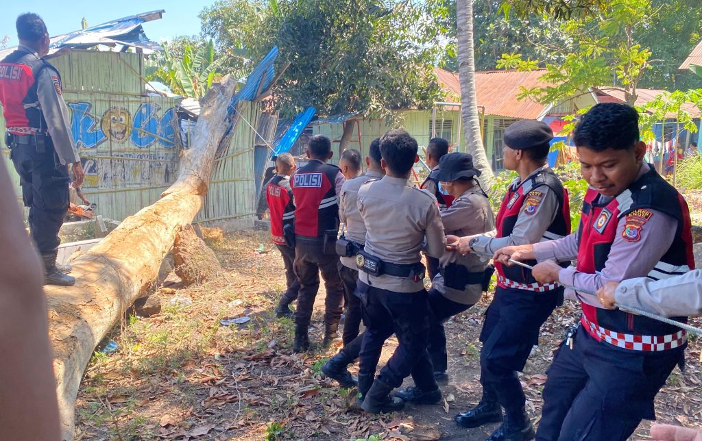 Pohon Tumbang Timpa TK Kober Patas Ende, Polisi Turun Tangan Bersihkan Material