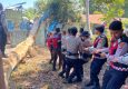 Pohon Tumbang Timpa TK Kober Patas Ende, Polisi Turun Tangan Bersihkan Material