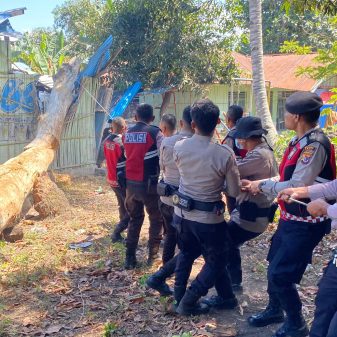 Pohon Tumbang Timpa TK Kober Patas Ende, Polisi Turun Tangan Bersihkan Material