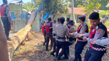 Pohon Tumbang Timpa TK Kober Patas Ende, Polisi Turun Tangan Bersihkan Material
