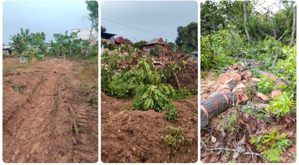 Kasus Dugaan Perusakan Tanaman di Pitu Riawa Sidrap Berbuntut Laporan Polisi